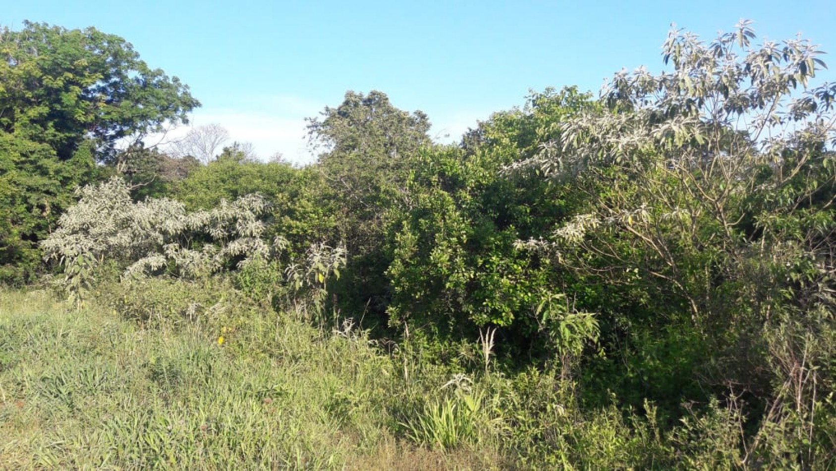 Terreno en venta Obera