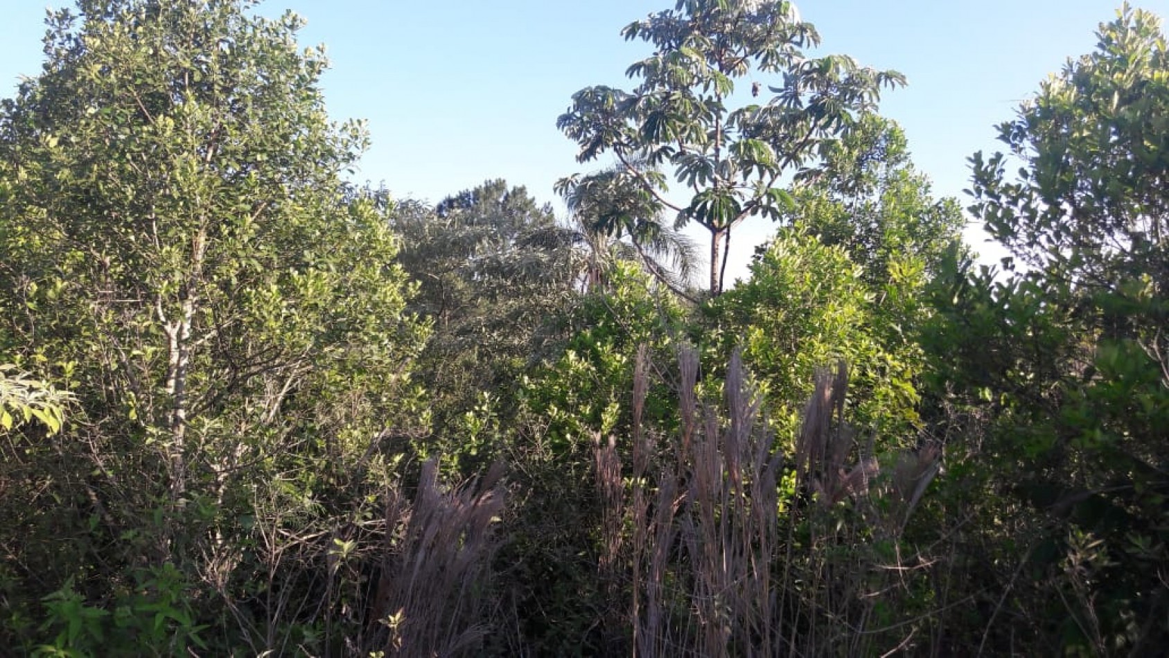 Terreno en venta Obera